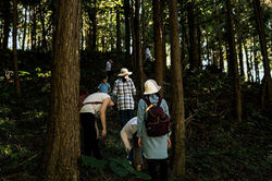 15195955_10207620933063241_3112972669271521333_o