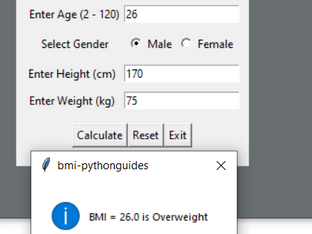 Body Mass Index (BMI) calculator