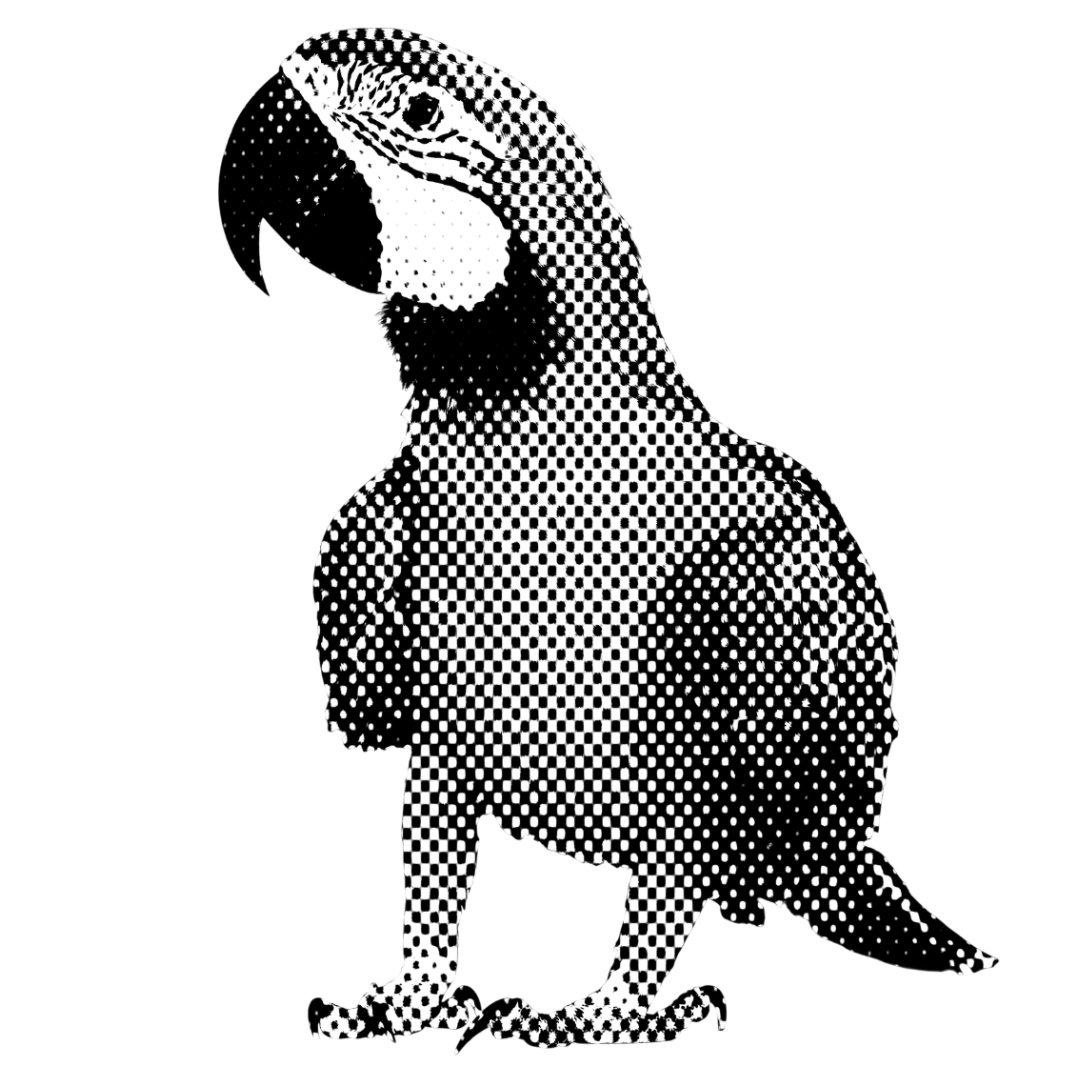P (6).png