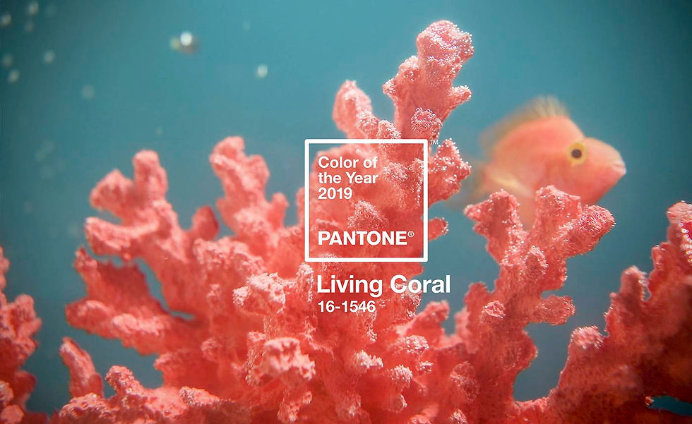 Pantone Color of the year 2019: Living Coral