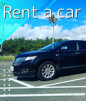 image1 (1)_edited_edited.jpg