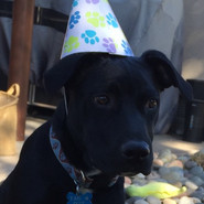 Party boy!