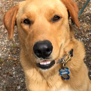 Sampson