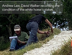 Condition Survey Andrew and Dave clipped labelled (002).JPG