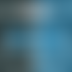 BAFA Adult Contact National Leagues 2024 Week 2 Results