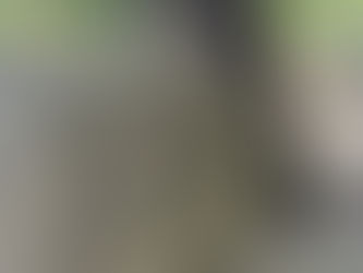 脳いきいきタブレット講座 北区 8回目