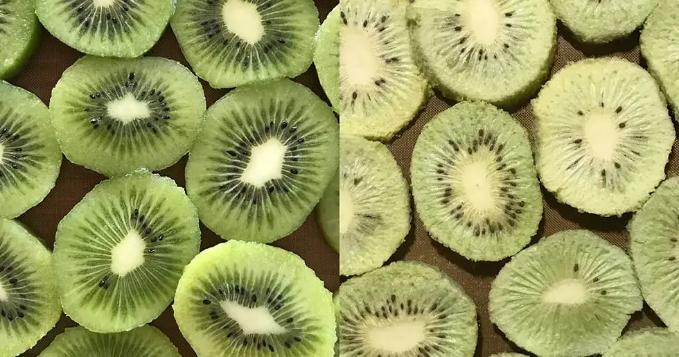 Home Freeze Dryers Electricity Usage