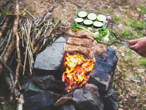 Vegetables Are Good For Camping