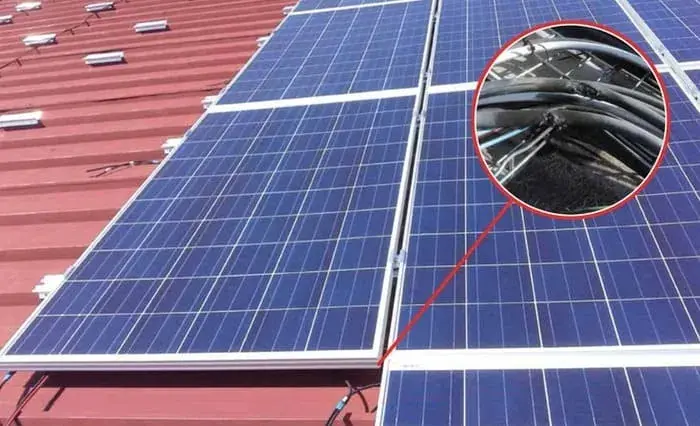 Common Rodent Threats to Solar Cables