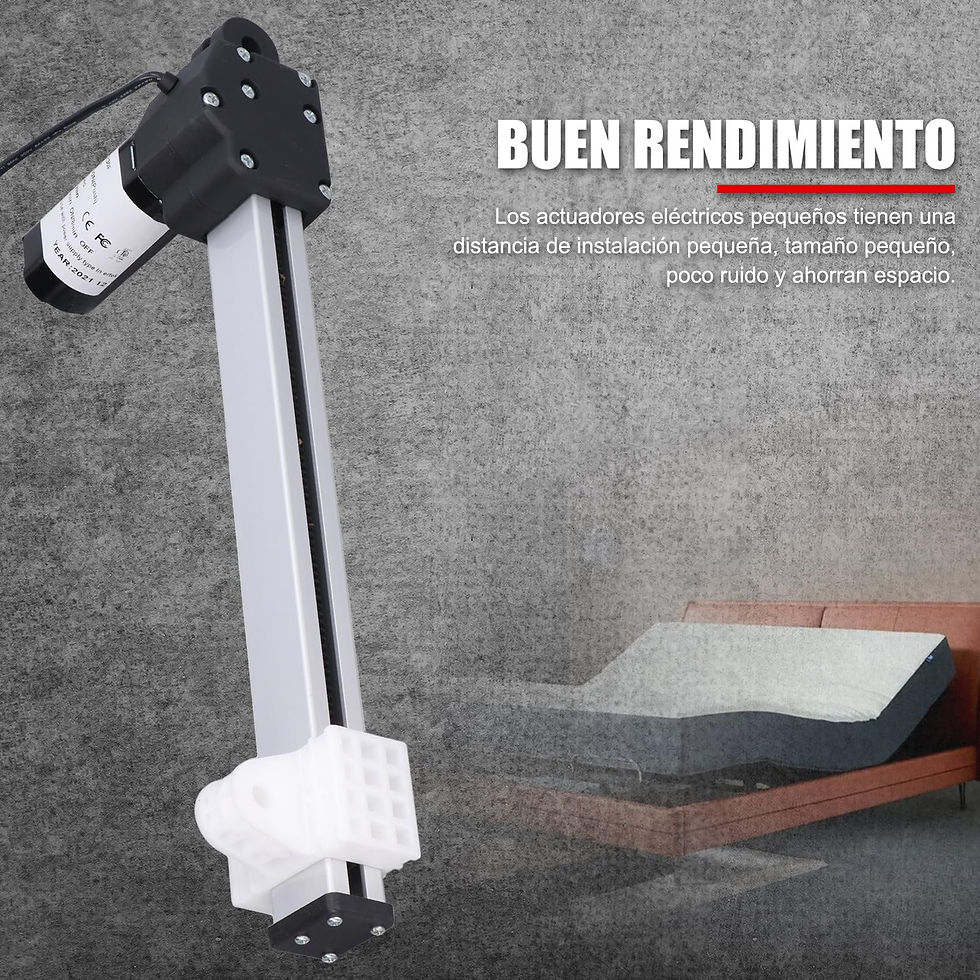 Design and Aesthetic