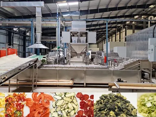 Dehydrated Vegetable Supplier