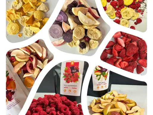 Freeze Drying Methods