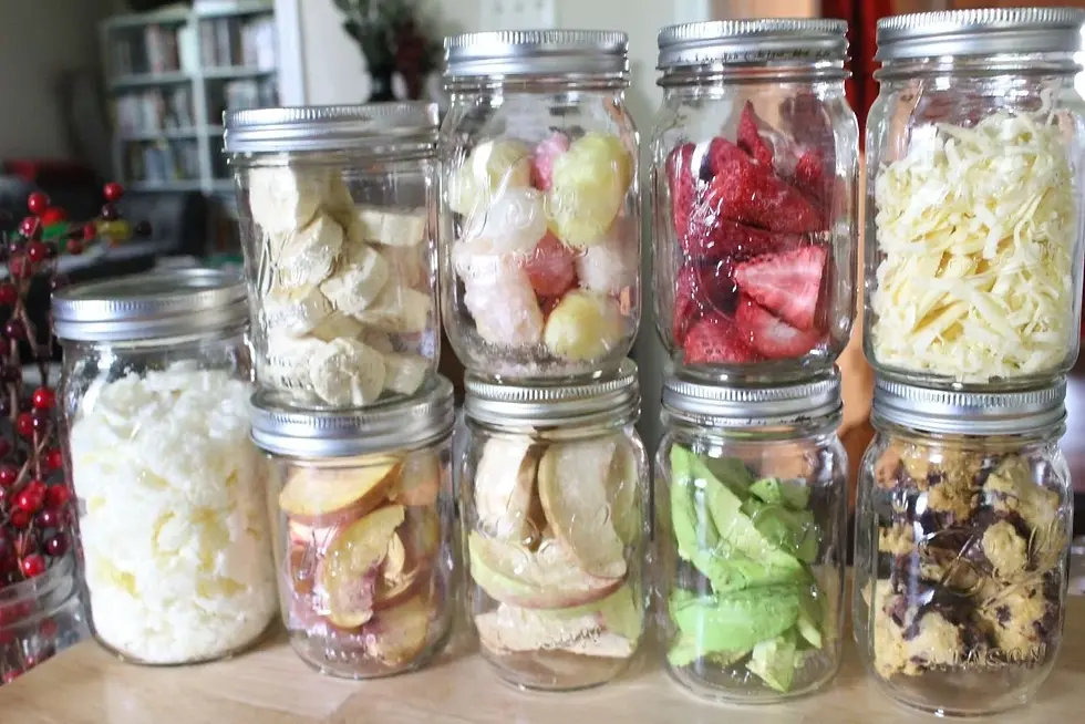 Freeze Drying At Home