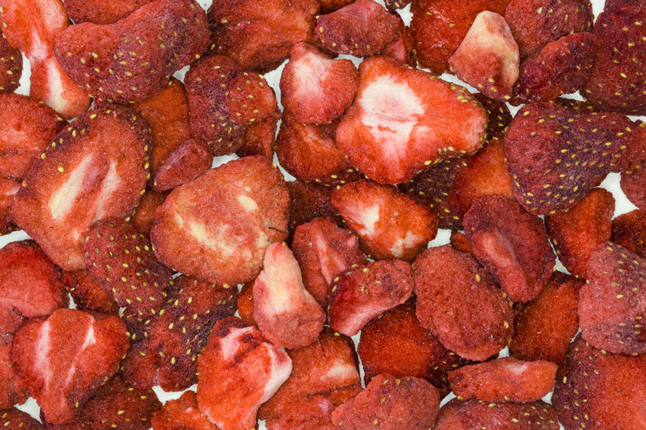 Freeze Drying