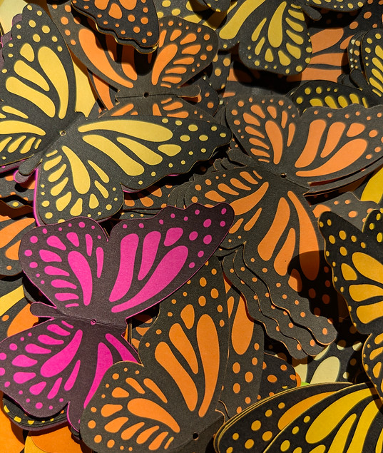 piled_butterflies.jpg