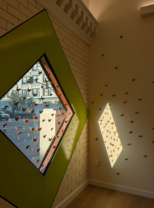 butterflies_on_gallery_walls.jpg