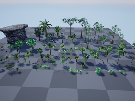 Tropical Forest