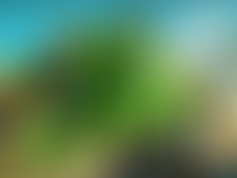 Lowpoly Tropical Island