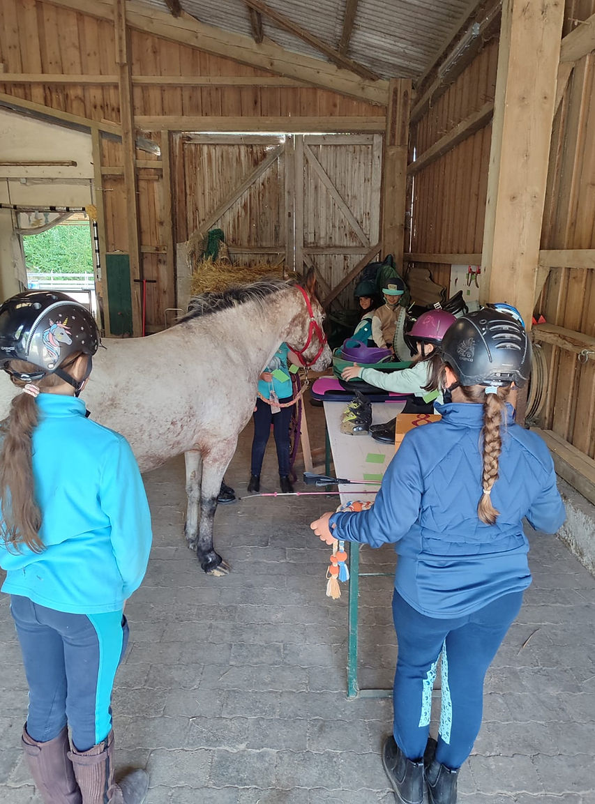 WhatsApp Image 2026-04-06 at 14.17.36.jpeg