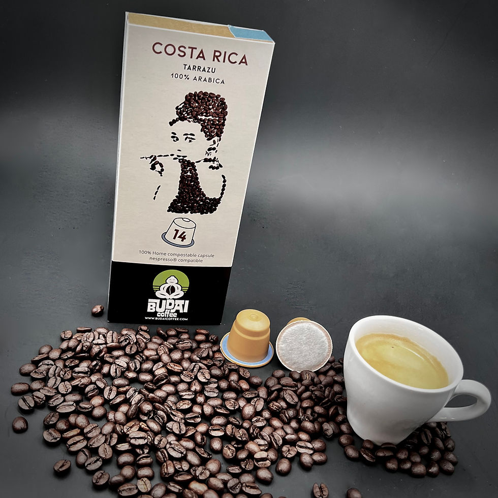 Miniaturbild: COSTA RICA - TARRAZÚ 100% ARABICA