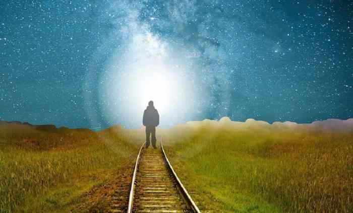 Vidas Pasadas Lectura