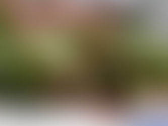 1年生【とうもろこしの皮むき体験】