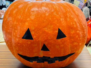 でっかいカボチャもらってきたよ