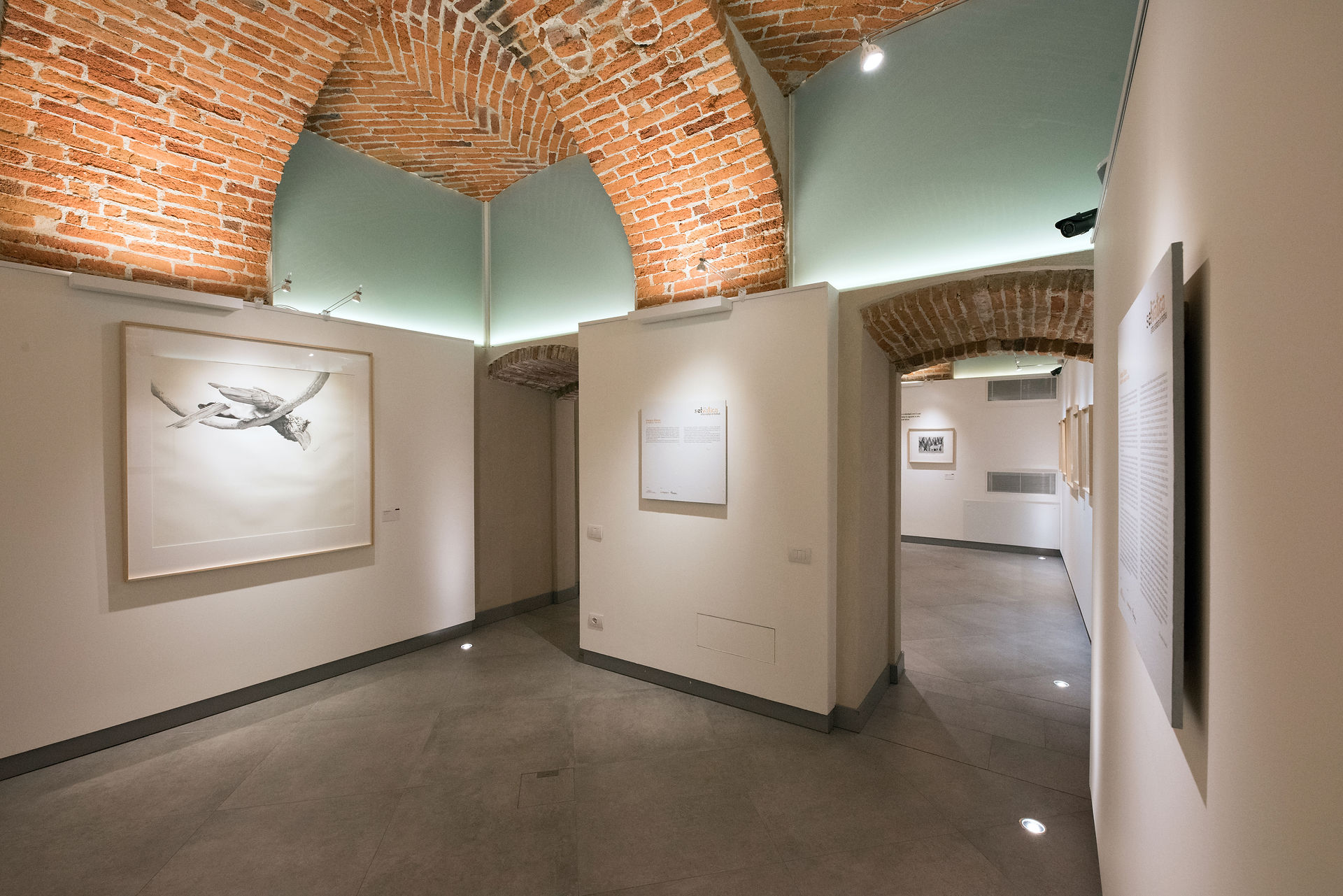 Sala introduttiva