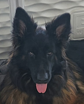 Lixi better face.jpg