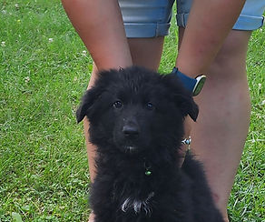 Lizzy 051825 emerald1.jpg