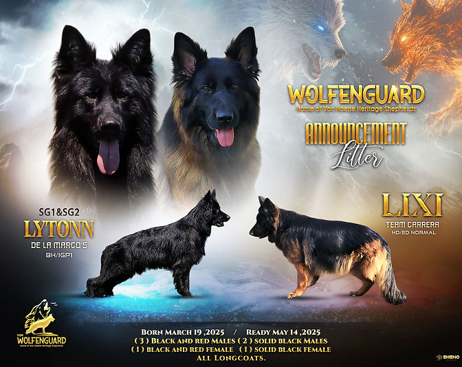 Lixi flyer 0425.jpg