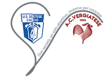 Polo Sestese Vergiatese