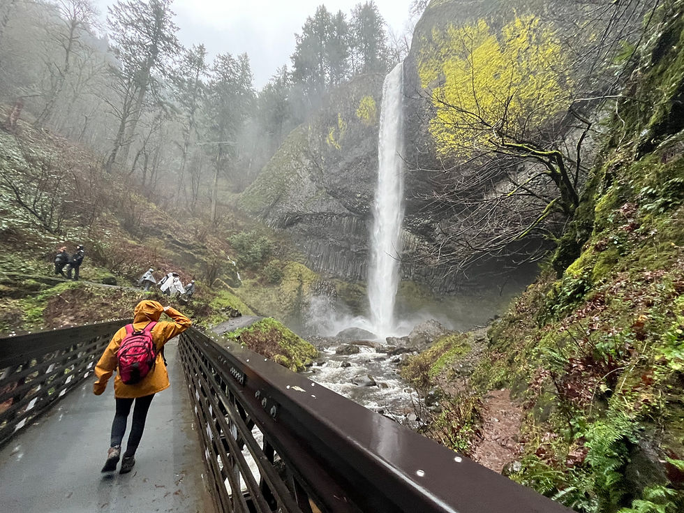 Eco-Friendly, Money-Savvy Christmas Gifts for the Holidays