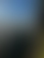 Quick Tips: The Roadless Rule