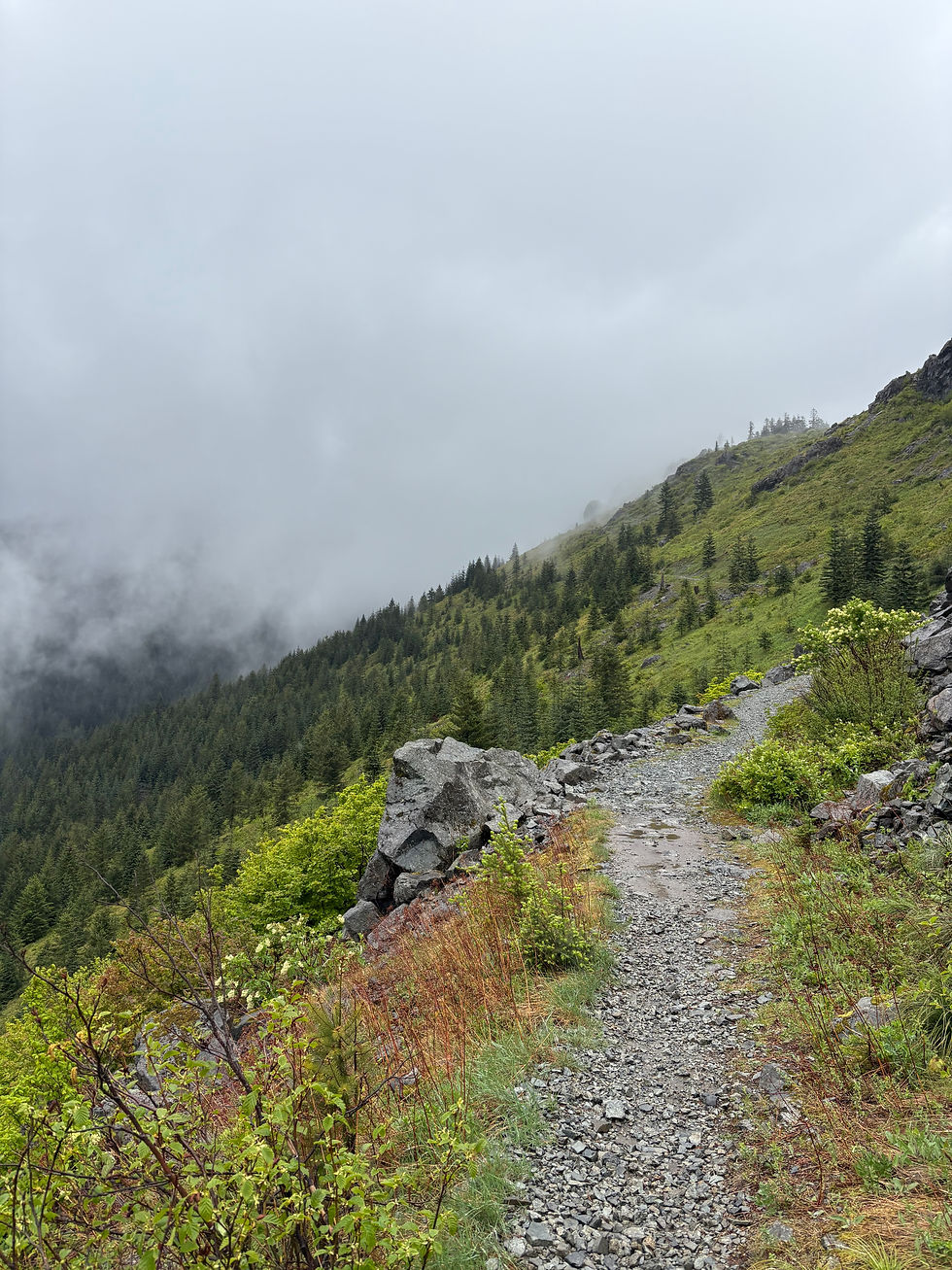 trail on a mist covered mountain
