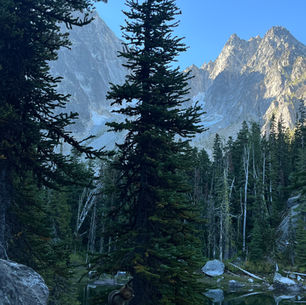 Taking Action Part 2: Practical Tips for Visiting Parks Now