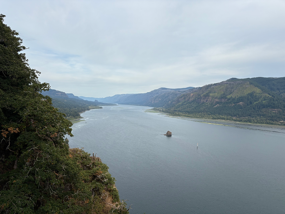 photo of the Columbia River from the top of the gorge 
