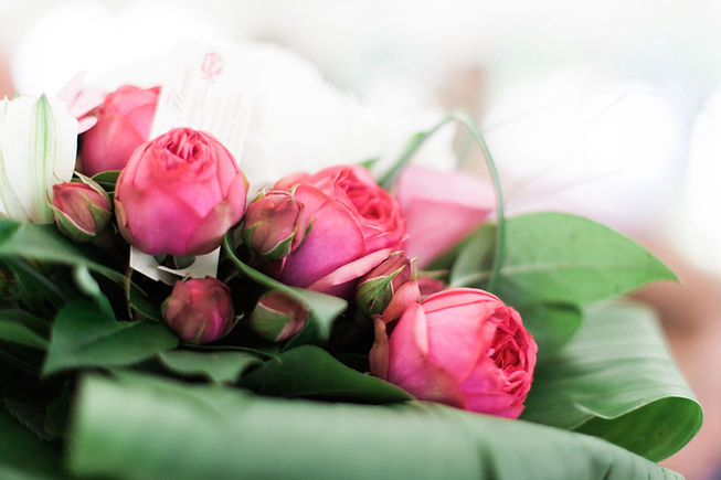 Rosas