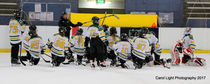 Guide to Junior Ice Hockey