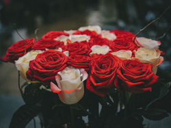 Bouquet Roses
