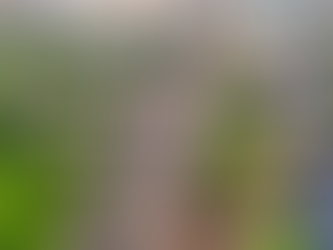 Clothing development roadmap showing how to take a product from idea to production with clear design and development decisions.