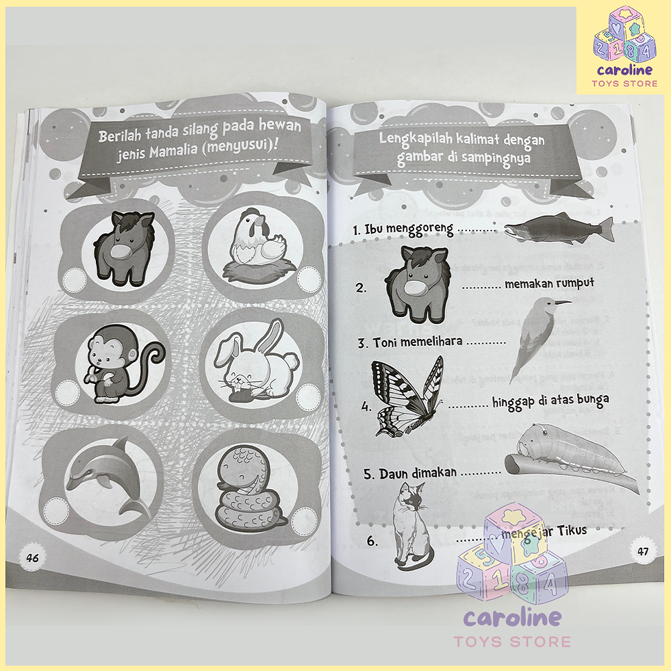 Thumbnail: To The Point Fokus Persiapan Masuk SD