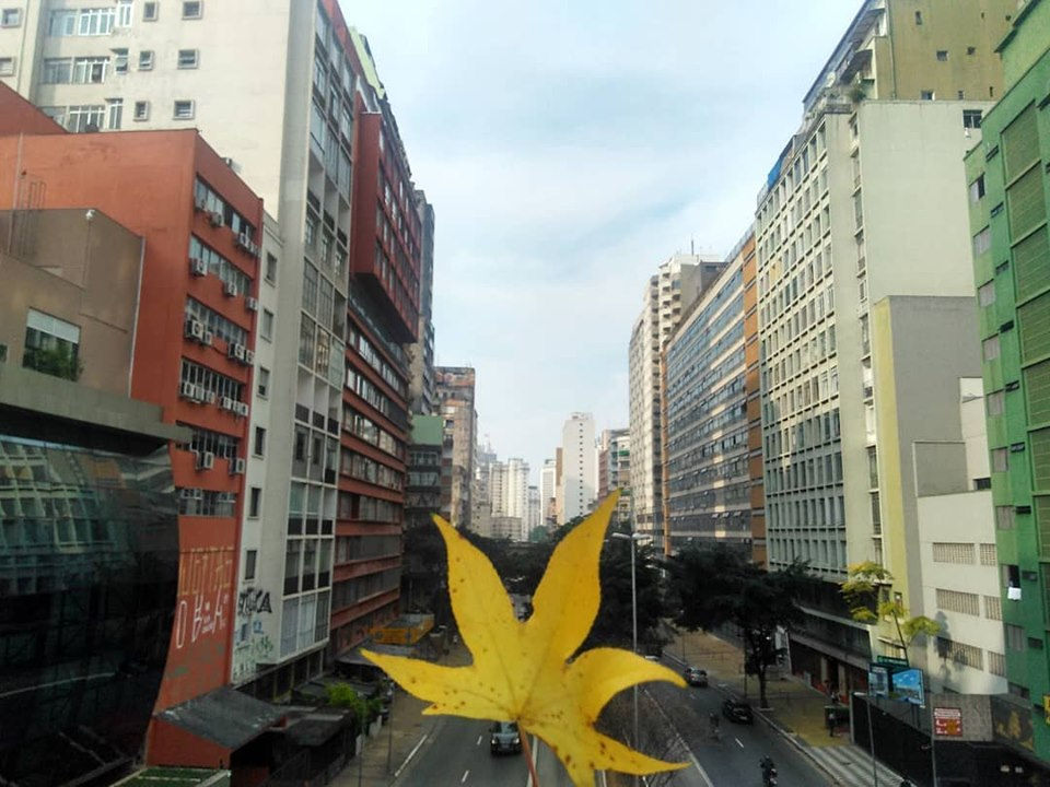 9 de Julho