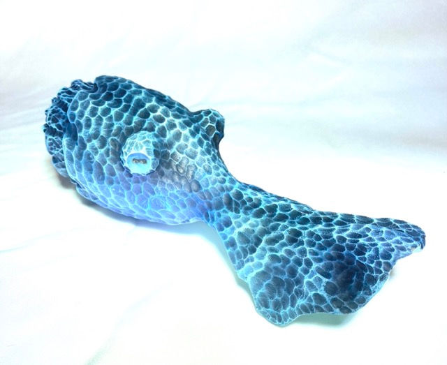 Miniature : Coqui-seiche