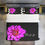 Thumbnail: Simple Flower® *Ps. 4:8 KING Black Pink Floral 3pc Comforter Bedding CO
