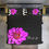 Thumbnail: Simple Flower® *Ps. 4:8 KING Black Pink Floral 3pc Comforter Bedding CO