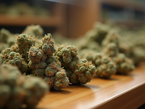 Exploring the Different Types of Premium Hemp Products
