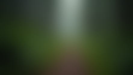 Finding Courage in the Chaos