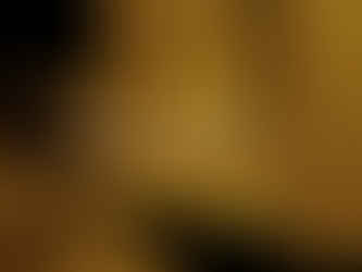 Todos os ganhadores do Oscar 2023