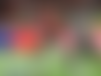 Inter domina, mas Santos busca empate que embola briga contra rebaixamento